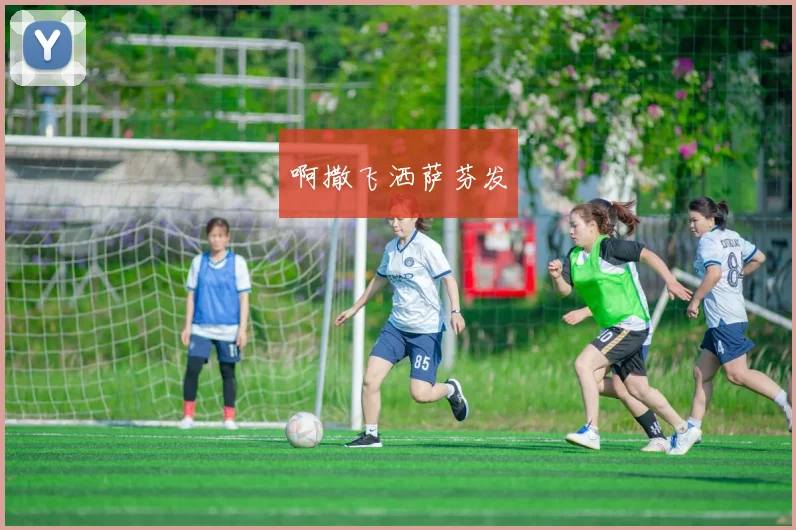 02世界杯冠军归属揭秘 世界杯冠军之谜揭晓