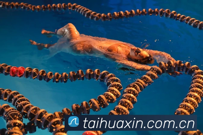 App Interface Preview