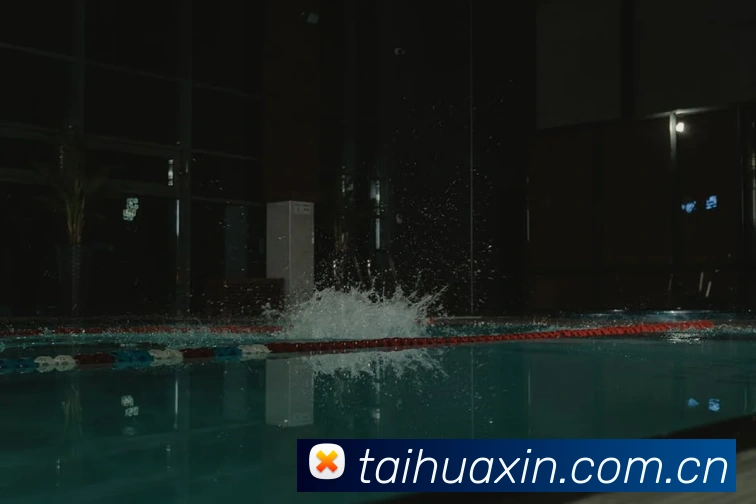 买球官方APP 封面图